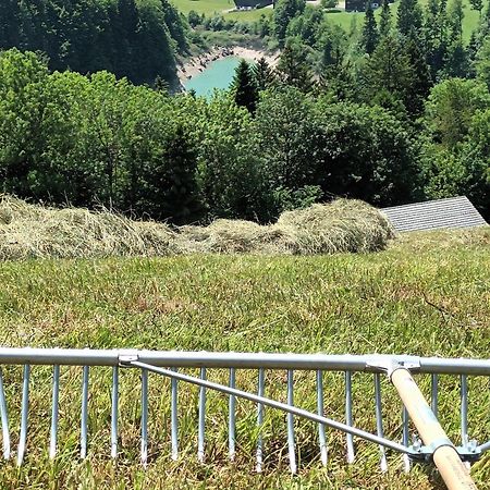 Haus Hagspiel Villa Hittisau Eksteriør billede