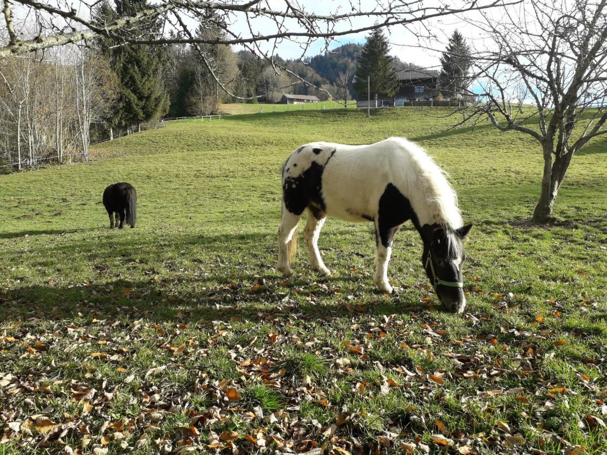 Haus Hagspiel Villa Hittisau Eksteriør billede