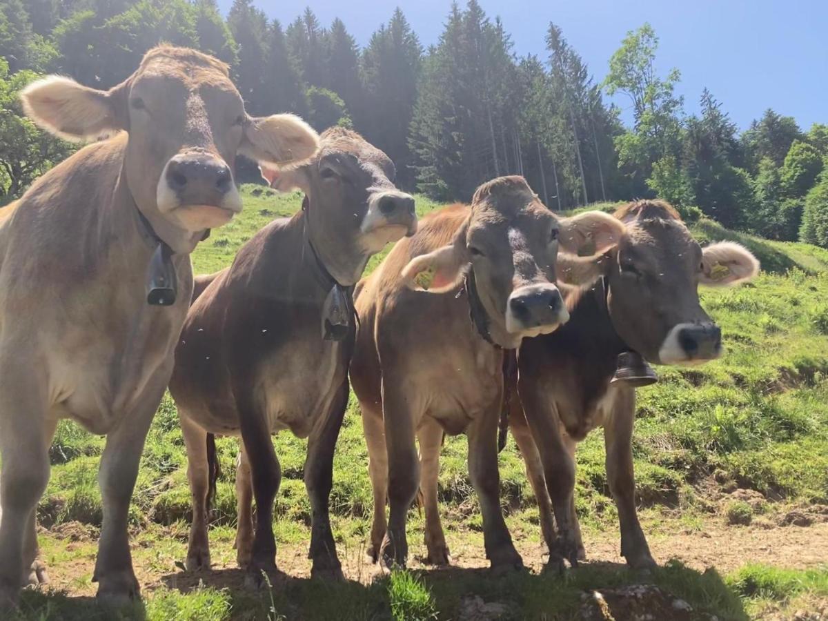 Haus Hagspiel Villa Hittisau Eksteriør billede
