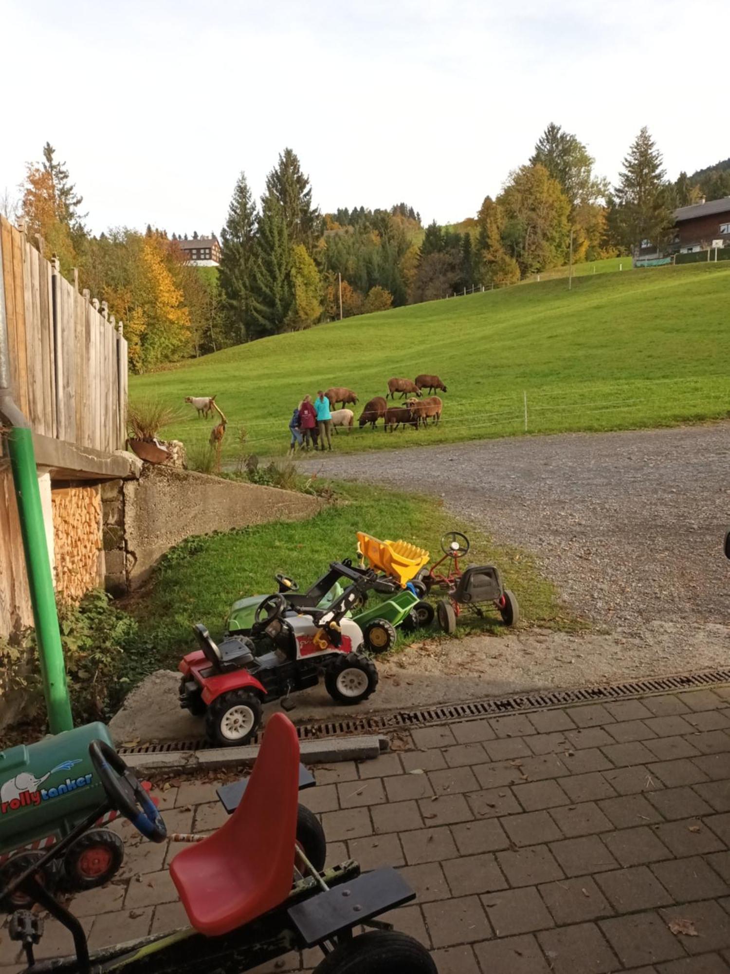 Haus Hagspiel Villa Hittisau Eksteriør billede