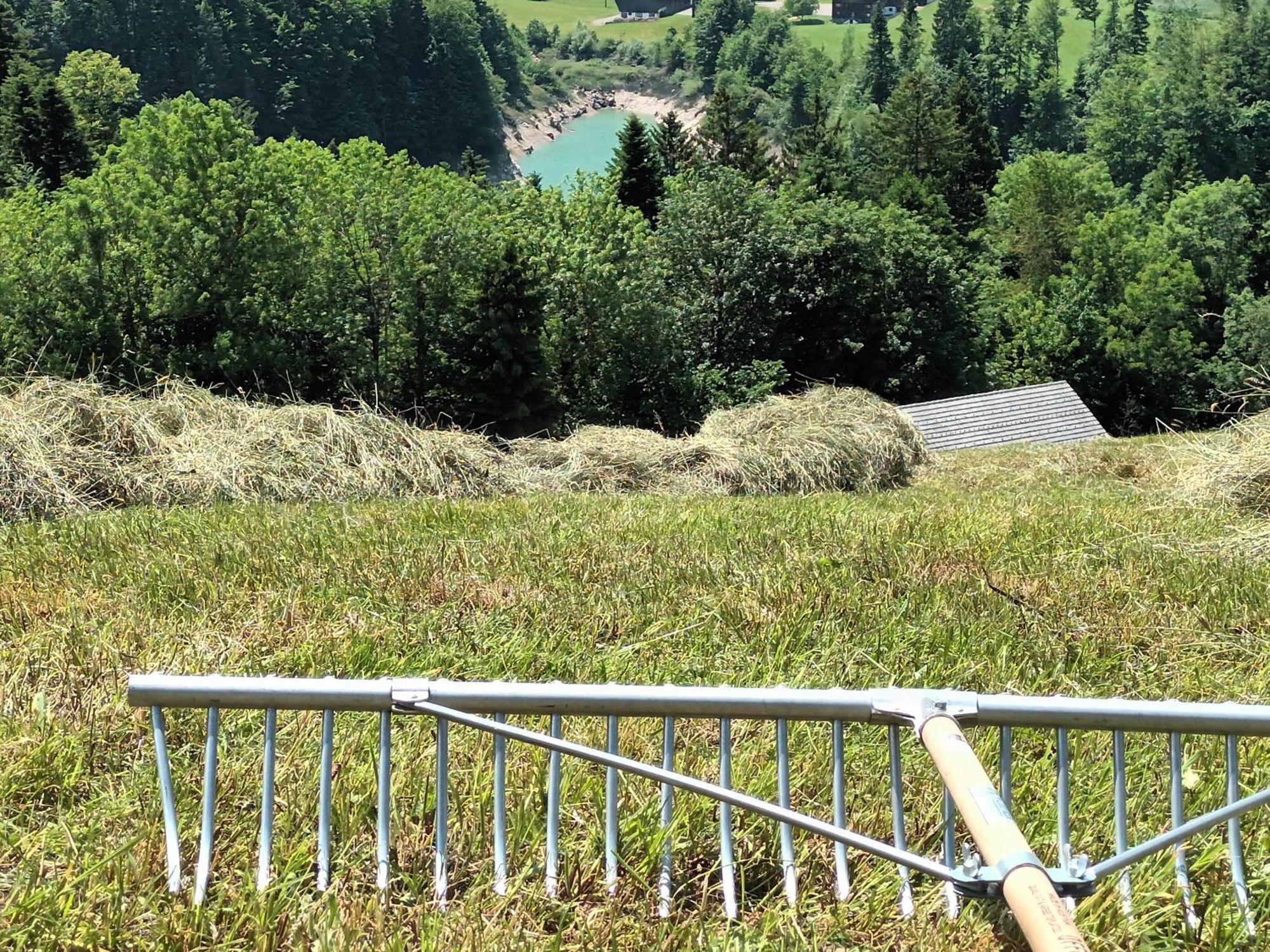 Haus Hagspiel Villa Hittisau Eksteriør billede
