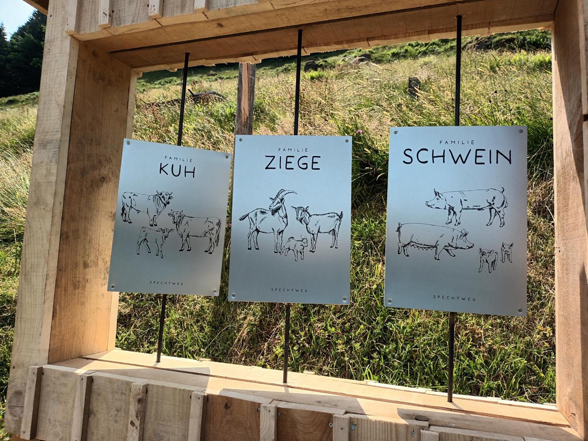 Haus Hagspiel Villa Hittisau Eksteriør billede