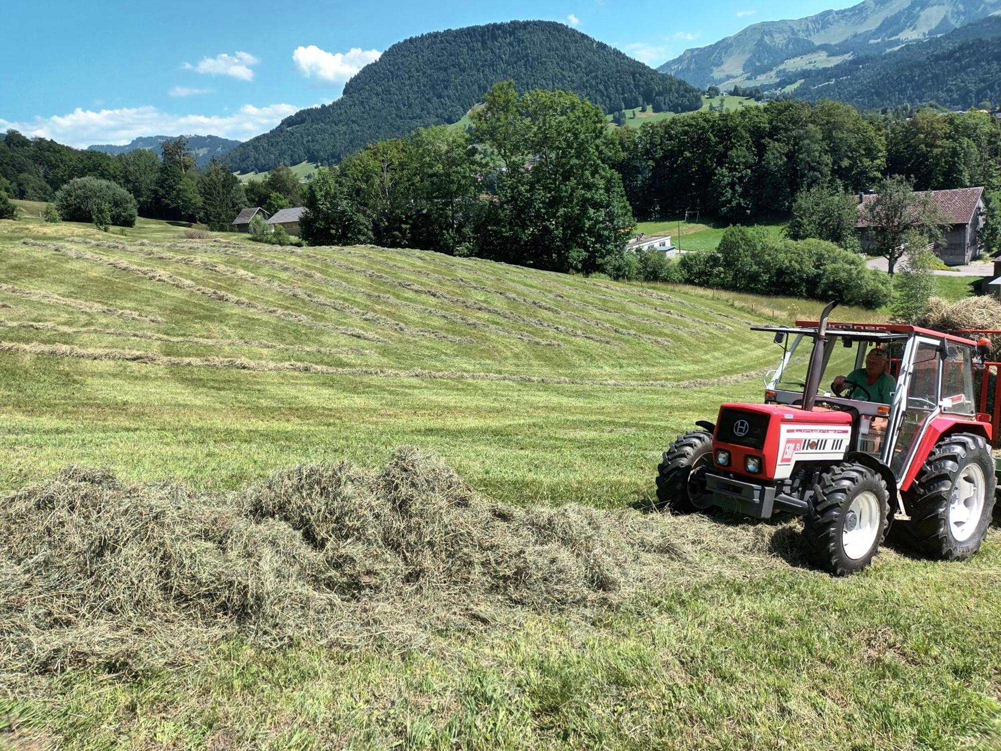 Haus Hagspiel Villa Hittisau Eksteriør billede