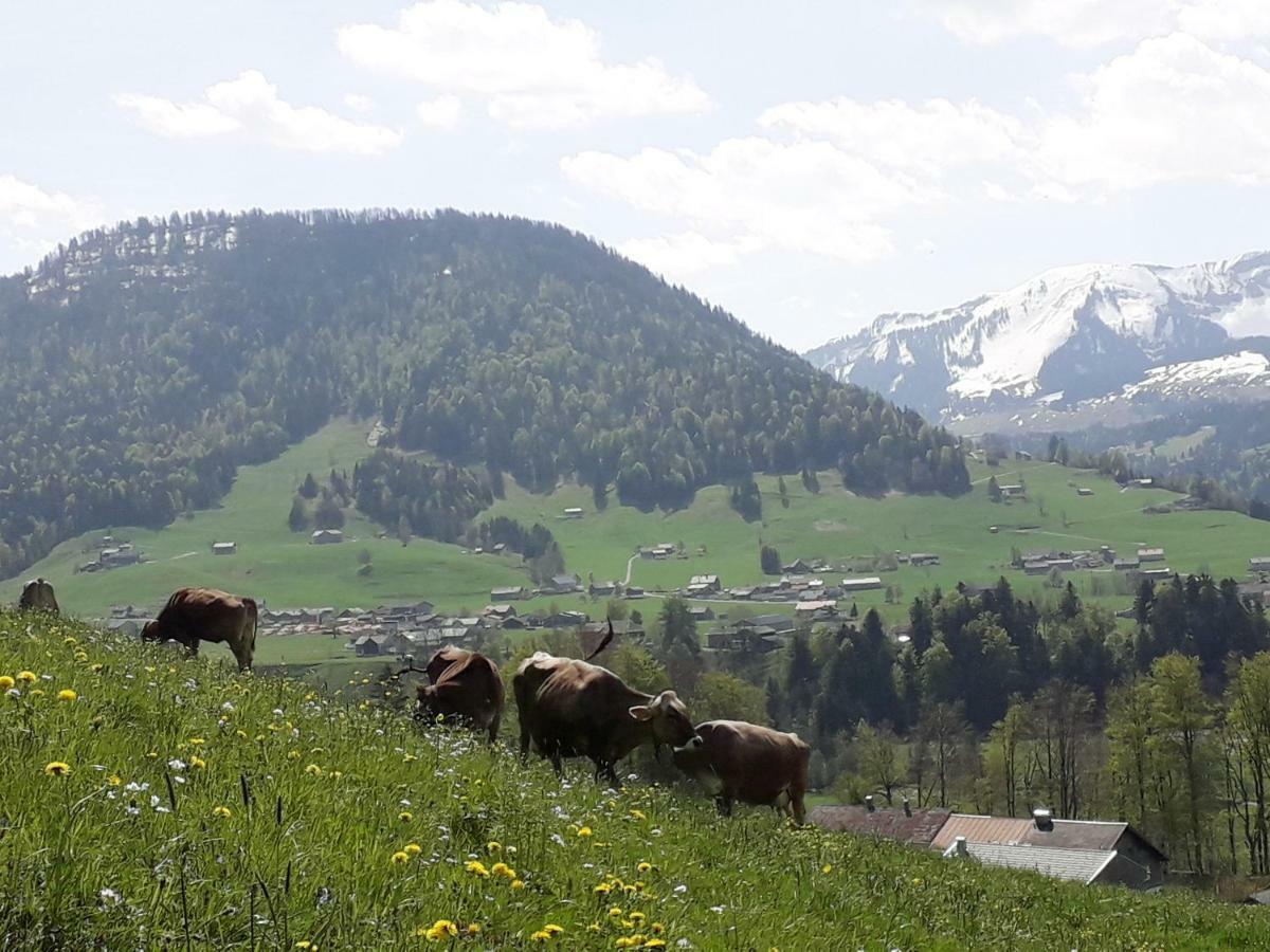 Haus Hagspiel Villa Hittisau Eksteriør billede