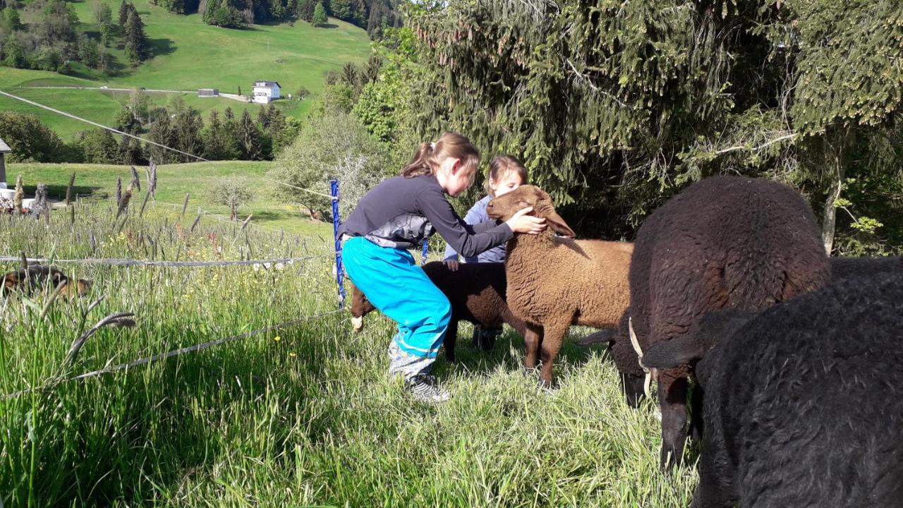Haus Hagspiel Villa Hittisau Eksteriør billede